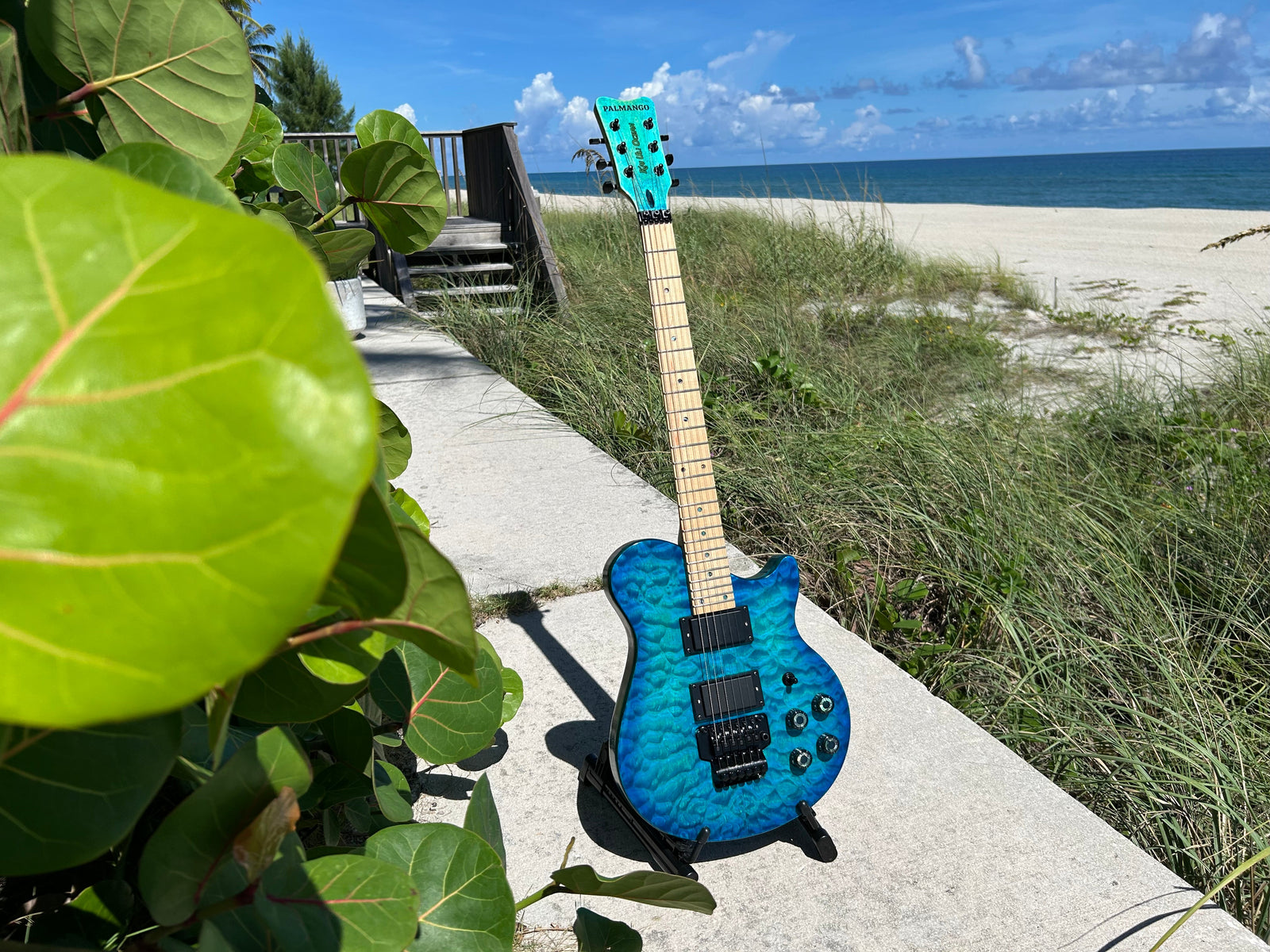 Ginger's Ocean-Blue Guitar Kit, and the Build Order She Worked Out