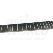 E35 Semi-Hollow Guitar Kit E335