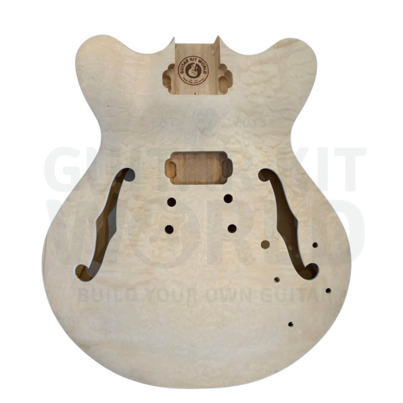 E35 Semi-Hollow Guitar Kit E335