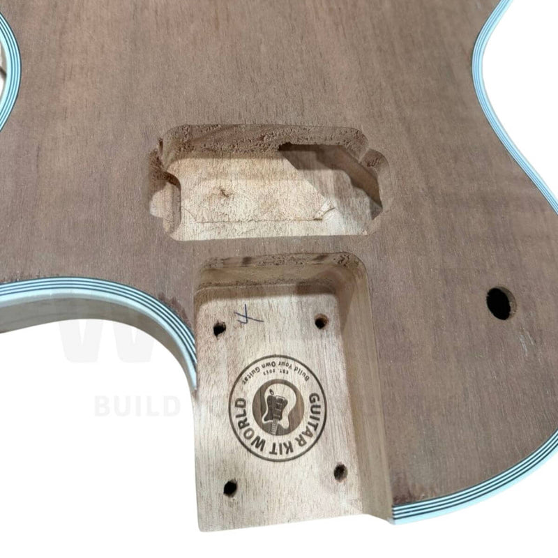 LP Style Electric Guitar with Mahogany Body, Ebony Fretboard & Humbuckers - Guitar Kit World