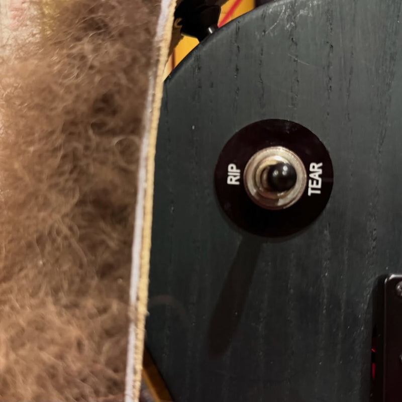 Engraved toggle switch plate on the guitar body beside a fur-lined leather strap