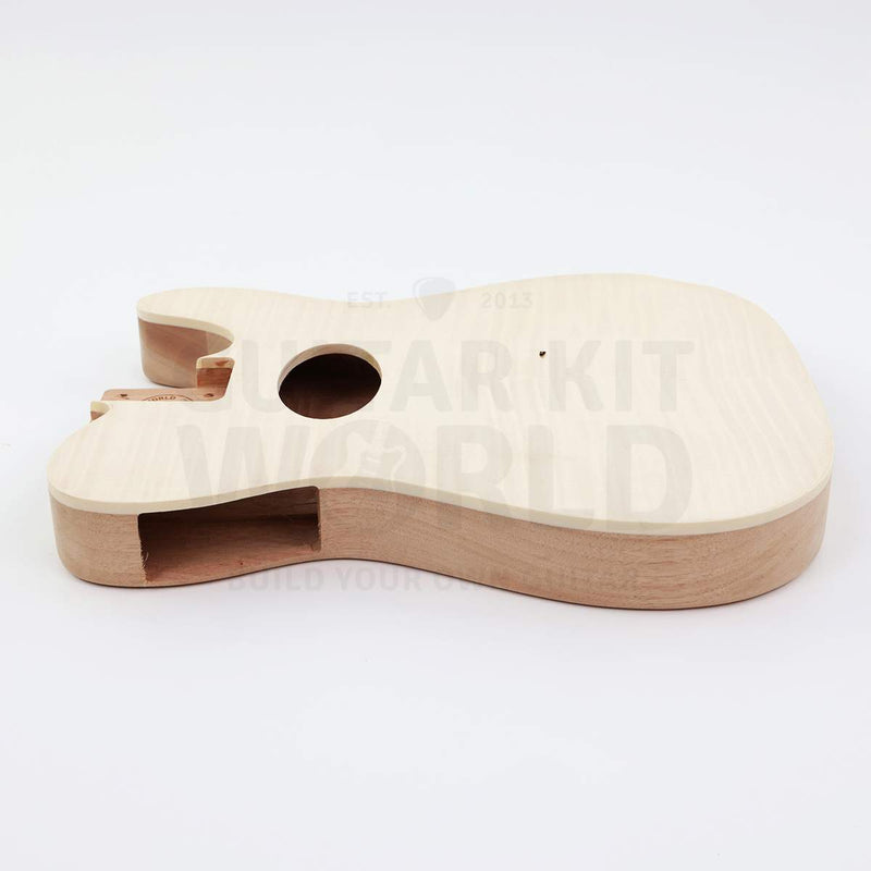 Side view of the hollow body showing the cutout for the side-mounted preamp and the ivory binding - Guitar Kit World