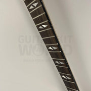 Guitar Kit World - PR-style Semi-Hollow DIY Guitar Kit - Fretboard inlay closeup showing detail
