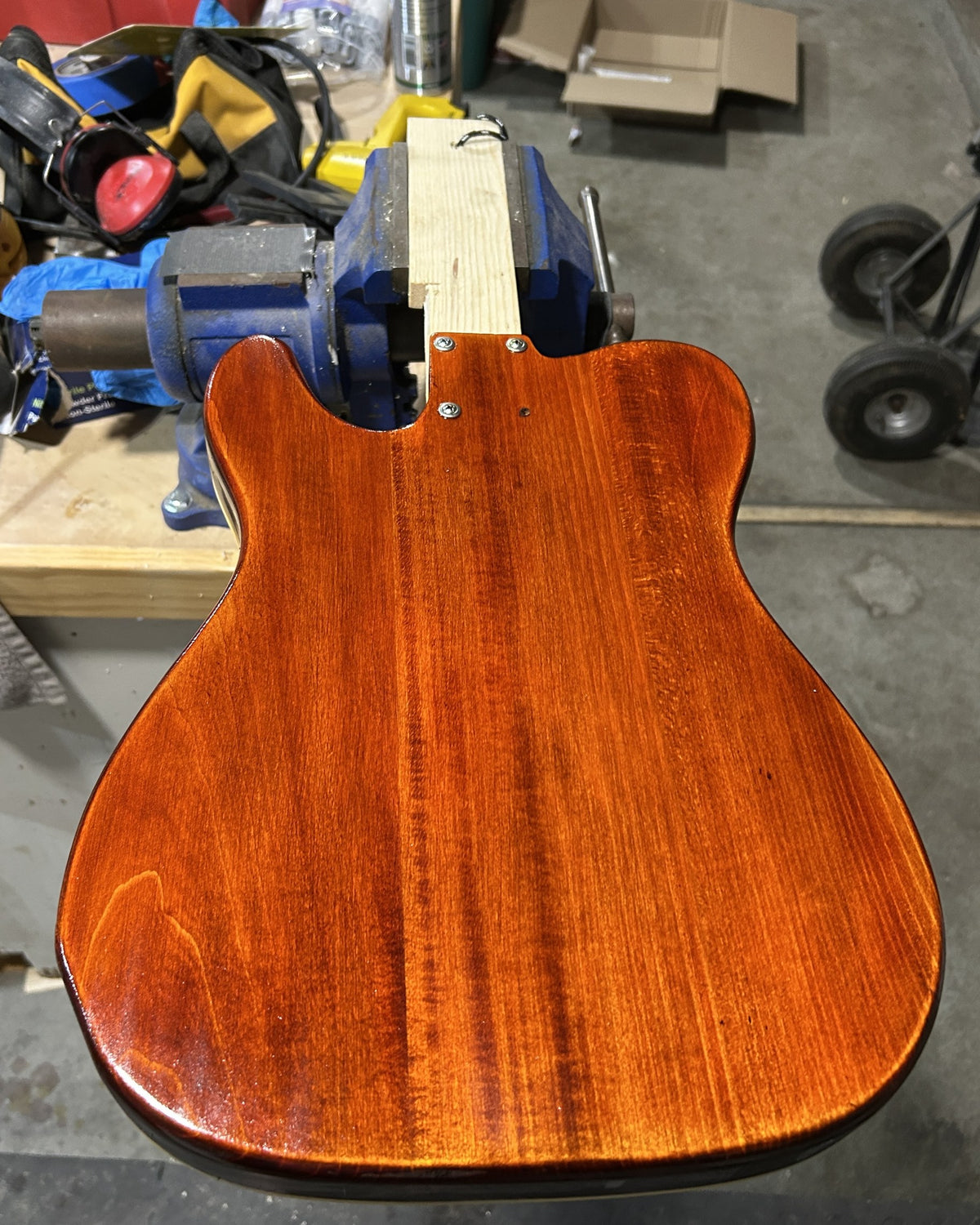 Back of a basswood guitar body with a glossy red-brown dye and Tru-Oil finish, clamped in a vise