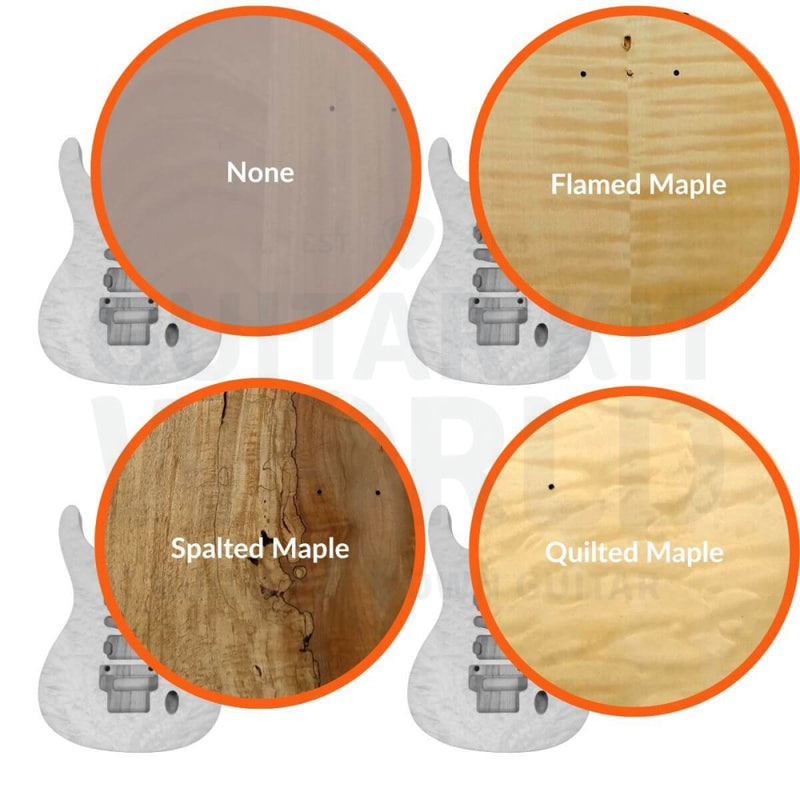 RG Guitar Kit - Guitar Kit World