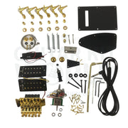 RG Guitar Kit - Guitar Kit World