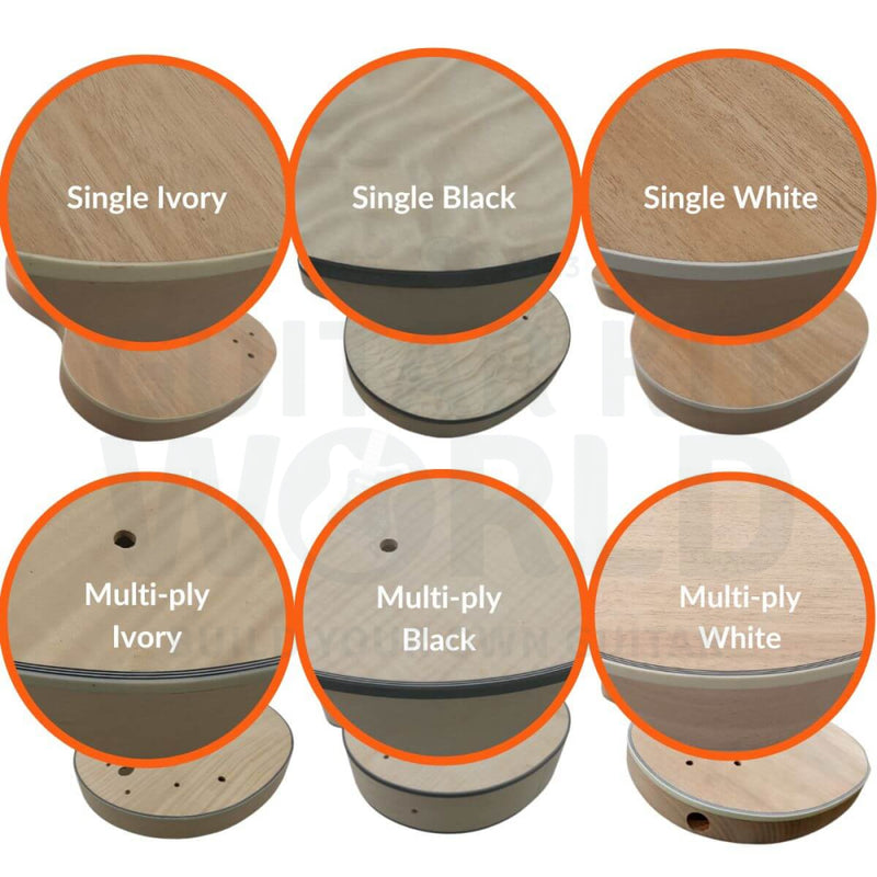 TE Guitar Kit - Guitar Kit World