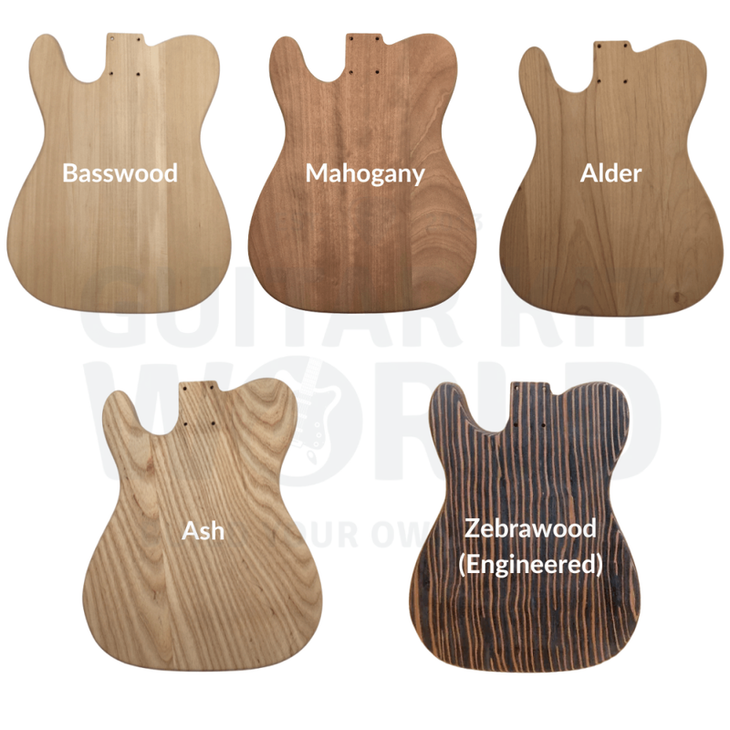 TE Guitar Kit - Guitar Kit World