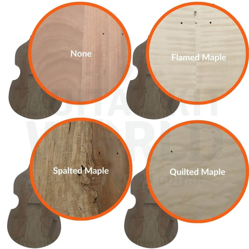 Violin Bass Kit - Guitar Kit World