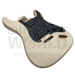Alder ST style guitar kit with Quilted Maple Veneer, Maple Skunk Stripe Neck