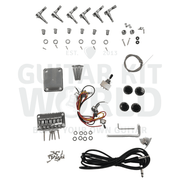 Alder TE Guitar Kit w/ Ebony fretboard
