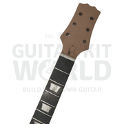 PR Guitar Kit w/ Flame Maple Veneer