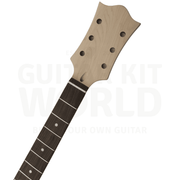 Semi-Acoustic TE style Mahogany body DIY kit with Flamed Maple Veneer