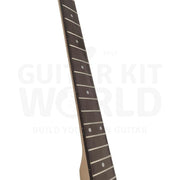 Semi-Hollow Ash TE Guitar Kit with Zebrawood Body Top