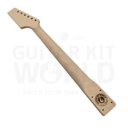 Semi-Hollow Ash TE Guitar Kit with Zebrawood Body Top