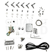 Semi-Hollow Ash TE Guitar Kit with Zebrawood Body Top